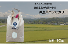 【令和7年産】減農薬 上市町湯神子産コシヒカリ（白米）10kg　 [ソムリエH 富山県 上市町 32280234-r6-03] 　お米 コメ ご飯 ごはん 白米ご飯 白米ごはん こしひかり