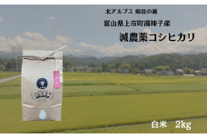 【令和7年産】減農薬 上市町湯神子産コシヒカリ（白米）2kg　 [ソムリエH 富山県 上市町 32280234-r6-01] 　お米 コメ ご飯 ごはん 白米ご飯 白米ごはん こしひかり
