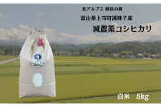 【令和7年産】減農薬 上市町湯神子産コシヒカリ（白米）5kg　 [ソムリエH 富山県 上市町 32280234-r6-02] 　お米 コメ ご飯 ごはん 白米ご飯 白米ごはん こしひかり