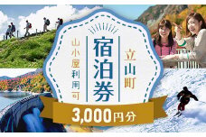 立山町 宿泊施設 宿泊券 3,000円分 (寄附額 12,000円) 宿泊チケット 宿泊 宿 山小屋 山荘 ホテル 旅 旅行 観光 レジャー チケット 登山 トレッキング アルペンルート 山岳観光 立山観光 立山黒部観光 F6T-775