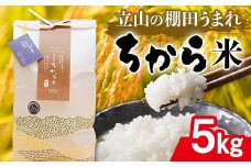 立山のちから米 コシヒカリ 5kg こしひかり 銘柄米 ブランド米 国産 米 お米 日本米 ギフト 贈り物 備蓄 防災 食品 F6T-536