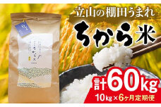 ＜定期便＞立山のちから米 コシヒカリ 各10kg ＜全6回＞ 計60kg 6ヶ月連続 10kg 定期便 定期配送 ちから米 こしひかり 銘柄米 ブランド米 国産 米 お米 日本米 ギフト 贈り物 備蓄 防災 食品 F6T-541