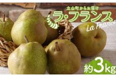 ラ・フランス 約3kg 国産 ラフランス 洋梨 西洋梨 梨 くだもの 果物 フルーツ ギフト 贈り物 食品 昆虫王国立山 立山自然ふれあい館 F6T-542