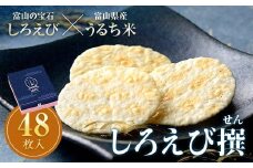 しろえびせんべいプレミアム しろえび撰 48枚入り 薄焼きせんべい 煎餅 せんべい 個包装 しろえび 白エビ 薄焼き ギフト お茶菓子 お茶請け おやつ 国産 食品 日の出屋製菓産業 お歳暮 お中元 F6T-723