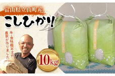 お米 こしひかり 富山県立山町産 5kg×2袋 計10kg 横山ファーム 富山県 立山町 F6T-544