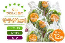 立山やさい工房のサラダセット 60g×12袋 農薬不使用 水耕栽培 新鮮 野菜 サラダ 小分け リーフレタス ルッコラ ビーツ セット 冷蔵 国産 食品 立山やさい工房 F6T-089