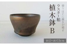 使うほどに趣きが増す ラスター釉 植木鉢B (径12×高さ7.5cm) 植木鉢 鉢 器 植木用 インテリア potter 佐藤みどり F6T-105