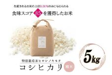 特別栽培米 コシヒカリ ヒロシノキモチ 精米 5kg ブランド米 銘柄米 国産 米 お米 日本米 ギフト 贈り物 備蓄 防災 食品 陽咲玲 はるざれ F6T-524