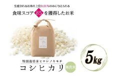 特別栽培米 コシヒカリ ヒロシノキモチ 無洗米 5kg ブランド米 銘柄米 国産 米 お米 日本米 ギフト 贈り物 備蓄 防災 食品 陽咲玲 はるざれ F6T-526