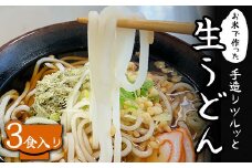 お米で作った 手造り ツルッと生うどん 3食入り うどん 米麺 米めん 生うどん 麺 生麺 生めん 麺類 食品 食の木 F6T-384