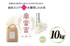 富山県ブランド米 富富富 無洗米 10kg ふふふ ブランド米 国産 米 お米 日本米 ギフト 贈り物 備蓄 防災 食品 陽咲玲 はるざれ F6T-534