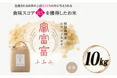 富山県ブランド米 富富富 玄米 10kg ふふふ ブランド米 国産 米 お米 日本米 ギフト 贈り物 備蓄 防災 食品 陽咲玲 はるざれ F6T-530