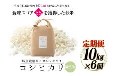 【6回定期】特別栽培米 コシヒカリ ヒロシノキモチ 無洗米 10kg 総計60kg 陽咲玲 米 お米 コメ 無洗米 ご飯 ごはん 富山県産 富山県 立山町 F6T-632