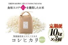 《先行予約》【3回定期】特別栽培米 コシヒカリ ヒロシノキモチ 無洗米 10kg 総計30kg 陽咲玲 米 お米 コメ 無洗米 ご飯 ごはん 富山県産 富山県 立山町 F6T-825