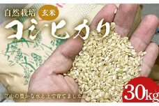 米 自然栽培 コシヒカリ 玄米 30kg  白雪農園 お米 こしひかり 農家 美味しい 富山県 立山町 F6T-560