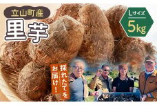 【2025年予約】立山町産里芋 Ｌサイズ 5kg さといも 里いも 芋 いも 野菜 根菜 立山町 F6T-726