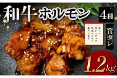 和牛ホルモン4種旨タレ（牛ミノ、牛シマチョウ、牛赤センマイ、牛ハツモト）1,200g 焼肉 ホルモン 内臓 牛 和牛 ほるもん みの しまちょう せんまい はつ たれ お歳暮 お中元 F6T-563