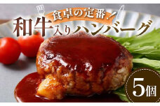 食卓の定番！和牛入りハンバーグ 5個 豚肉 和牛 定番 ジューシー 肉汁 手軽 メインディッシュ ジュワッ お子さま 大人 シンプル 飽きない お歳暮 お中元 F6T-592