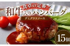 食卓の定番！和牛入りハンバーグ ～デミグラスソース～ 15個 豚肉 和牛 定番 特製デミ コク深 濃厚 手軽 下ごしらえ不要 メインディッシュ お子さま 大人 焼く 煮込む お歳暮 お中元 F6T-598