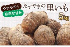 【2025年予約受付分】たてやまの里いも 5kg 里芋 さといも 芋 いも 野菜 根菜 立山町 F6T-727