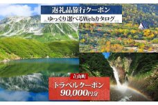富山県 立山町 旅行クーポン 90,000 円分 キャンプ 体験 登山 観光 旅行 ホテル 旅館 老舗 高級 トラベル チケット 家族 カップル 宿泊 予約 おすすめ 父の日 母の日 旅行券 宿泊券 F6T-787
