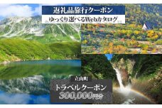 富山県 立山町 旅行クーポン 300,000 円分 キャンプ 体験 登山 観光 旅行 ホテル 旅館 老舗 高級 トラベル チケット 家族 カップル 宿泊 予約 おすすめ 父の日 母の日 旅行券 宿泊券 F6T-789