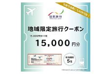 富山県立山町 日本旅行 地域限定旅行クーポン15,000円分 旅 旅行 観光 レジャー チケット クーポン 立山観光 F6T-754