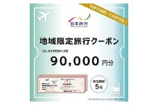 富山県立山町 日本旅行 地域限定旅行クーポン90,000円分 旅 旅行 観光 レジャー チケット クーポン 立山観光 F6T-757