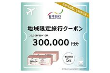 富山県立山町 日本旅行 地域限定旅行クーポン300,000円分 旅 旅行 観光 レジャー チケット クーポン 立山観光 F6T-759