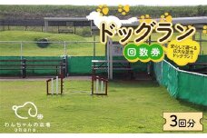ドッグラン回数券 3回分（3,000円分）体験 ペット 犬 体験チケット チケット F6T-804