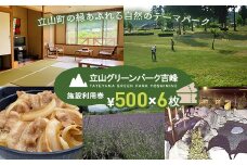 立山グリーンパーク吉峰 施設利用券 500円×6枚 テーマパーク 自然 バーベキュー パークゴルフ アウトドア 天然温泉 F6T-455