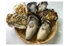 【生食用】深層水仕込みの殻付真牡蠣・岩牡蠣【真牡蠣5個・岩牡蠣2個セット】 