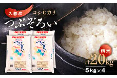＜令和6年産＞入善産コシヒカリ20kg【1212928】