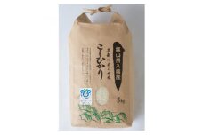 黒部川あらせ米 5kg【1235330】