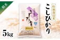 令和5年産　特別栽培米こしひかり　精米5kg【1150263】
