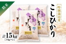 令和5年産　特別栽培米こしひかり　精米5kg×3袋【1150264】