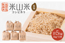 自然型乾燥特栽米コシヒカリ(米山米)玄米1kg×5袋【1364711】