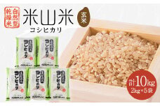 自然型乾燥特栽米コシヒカリ(米山米)玄米2kg×5袋【1364712】