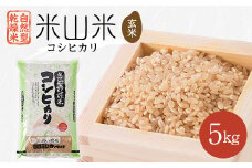 自然型乾燥特栽米コシヒカリ(米山米)玄米5kg×1袋【1364713】