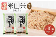 自然型乾燥特栽米コシヒカリ(米山米)玄米5kg×2袋【1364714】