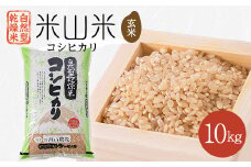 自然型乾燥特栽米コシヒカリ(米山米)玄米10kg×1袋【1364716】