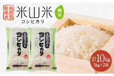 自然型乾燥特栽米コシヒカリ(米山米)精米5kg×2袋【1364721】