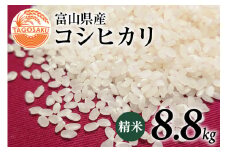 米 令和5年 コシヒカリ 精米 8.8kg / TAGOSAKU / 富山県 朝日町 [34310216] お米 白米 こしひかり 一等米 美味しい