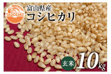 米 令和4年 コシヒカリ 玄米 10kg / TAGOSAKU / 富山県 朝日町 [34310217]