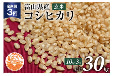 定期便 米 令和4年 コシヒカリ 玄米 10kg×3回 / TAGOSAKU / 富山県 朝日町 [34310219]