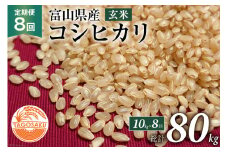 定期便 米 令和4年 コシヒカリ 玄米 10kg×8回 / TAGOSAKU / 富山県 朝日町 [34310221]