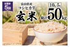 5回 定期便 米 コシヒカリ 玄米 10kg ×5回 総計 50kg [アグリ金山 富山県 朝日町 34310434] お米 美味しい こしひかり ご飯 ごはん 富山県産 数量限定 農家 直送