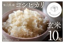 【期間限定発送】 米 令和6年 コシヒカリ 玄米 10kg [いただきます 富山県 朝日町 34310450] お米 こしひかり 美味しい 富山