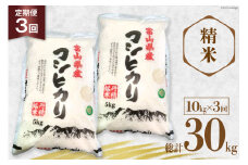 3回 定期便 お米 コシヒカリ 精米 10kg×3回 総計30㎏ [サンライス青木 富山県 朝日町 34310425] 米 ごはん 白米 こしひかり 富山県産 30キロ