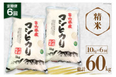6回 定期便 お米 コシヒカリ 精米 10kg×6回 総計60㎏ [サンライス青木 富山県 朝日町 34310426] 米 ごはん 白米 こしひかり 富山県産 60キロ